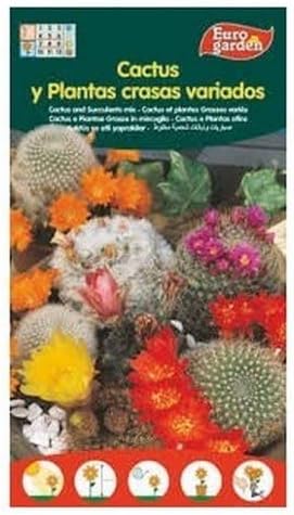 Euro Garden Cactus Mixed Seeds