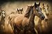 Jigsaw Puzzle| Natura morta Cavallo Rennende Jigsaw | 1000 Pezzi di Puzzle