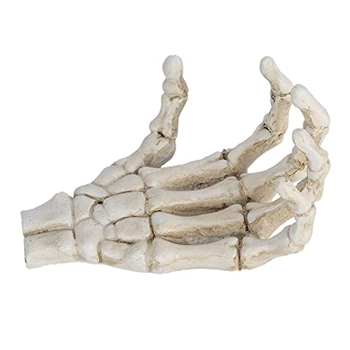 Image of Yosoo Halloween Skeleton Hands,High Hardness Light Weight Hand Bone Ornaments,Providing Medical Students with Hand and Wrist Structure and Descriptive Details
