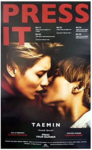 テミンPress it パネル