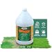 Medina 12-4-8 HastaGro Lawn, 1 gallon
