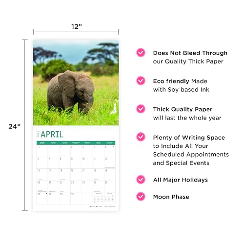 Calendário de parede mensal para bebês elefantes 2025 da Bright Day, 30,5 x 30,5 cm, lindo presente