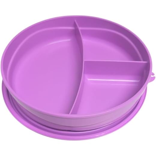 Tupperware to Go Lunchbox Clevere Pause 550ml rund mit Trennwand Eco+ Schule Brotdose mit Abteilung lila 550 ml