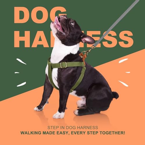 Image of Didog Step in Dog Harnes for Medium Dogs, Green, M, Chest 19-28 inch