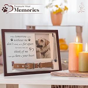 Giftvenus dog memorial picture frame  13 x 9 6 with ash necklace dog loss sympathy gift needle and funnel hook screw and hanging line pet loss gifts frametomorrow   cucciolini doodles