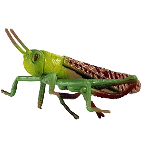 Casiler Figuras De Juguete De Insectos Simulación De Modelo De Saltamontes Falsos Figuras De Saltamontes