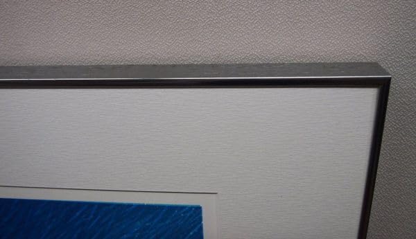 Amazon.co.jp: 真作保証 笠井正博 「La nebuleuse」 シルク