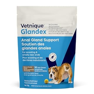 Glandex Anal Gland Soft Chew Treats with Pumpkin for Dogs Chews with Digestive Enzymes, Probiotics Fiber Supplement for Dogs – Vet Recommended - Boot The Scoot (Peanut Butter, 30ct Chews)