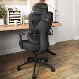 ZZH Ergonomic Office Mesh Chair, Home Office Chair 3D Adjustable Headrest, 3D Armrests with Adjustable Lumbar Support, Black