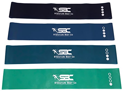 Sygnature Body Co Premium Resistance Exercise Mini Loop Bands | Set of 4 with Small Carrying Bag | M - //coolthings.us