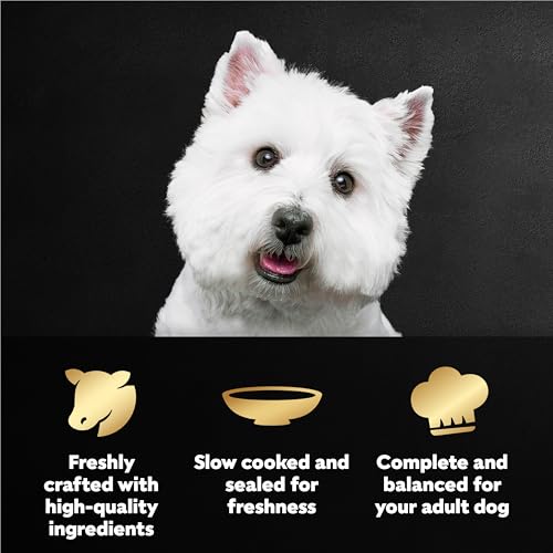 Image of Cesar Filets in Gravy Wet Dog Food, Filet Mignon Flavor, Wet Food for Dogs, 1.76 oz. Mini-Pouches, 20 Count