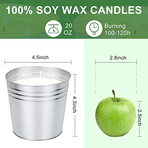 Hausware Large Citronella Candles Outdoor & Indoor, 20 Oz Scented Candles Set Natural Soy Wax Citronella Candles For Garden Patio Yard Home Balcony Camping Backyard Decorative #TOP3