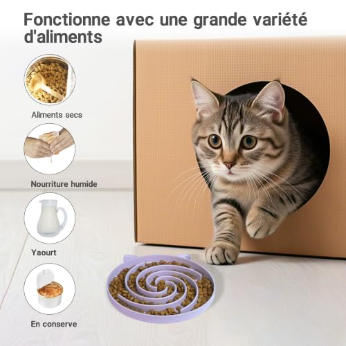 Bifeaw Gamelle pour Chat à Alimentation Lente, Bol en Silicone Facile à Nettoyer, idéal pour Les Aliments secs et humides (Violet et Blanc) – vue 3