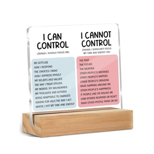 Mental Health Desk Decor Things I Can Control Acrylic Sign,