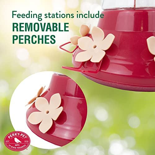 Perky-Pet 9202-2 Top-Fill Favored Pinch-Waist Glass Hummingbird Feeder – 20 oz, , Red