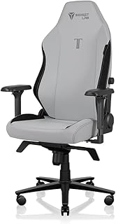 Titan Evo Ash Gaming Chair - Reclining - Ergonomic & Comfortable Computer Chair with 4D Armrests - Magnetic Head Pillow & 4-Way Lumbar Support - Small - Gray - Leatherette (Regular)