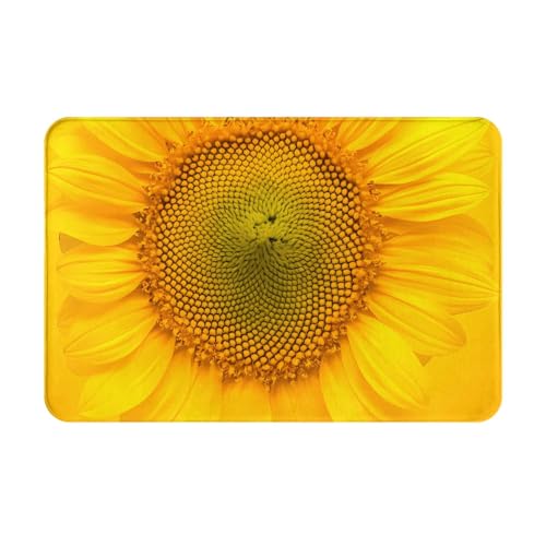 Ђ܂(1) Aj`O~ LN^[tlOv[g 40x60cm