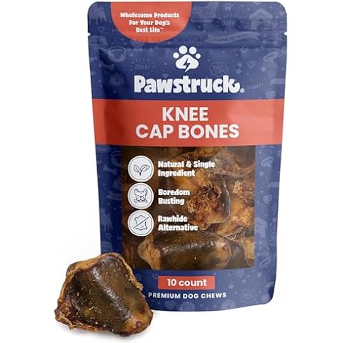 Pawstruck Natural Knee Cap Dog Bones - Treats for Aggressive Chewers, Low Fat and High Protein Chews, Beef Flavor, Long Lasting and Calming Rawhide Alternatives - 10 Pack - Packaging May Vary Cover