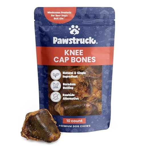 Pawstruck Natural Knee Cap Dog Bones - Treats for Aggressive Chewers, Low Fat & High Protein Chews, Beef Flavor, Long-Lasting Rawhide Alternatives - 10 Pack, Packaging May Vary