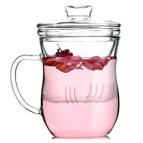 mongrep Tazza in Vetro Resistente al Calore con Coperchio 3 in 1 e Filtro per infusione di tè Sfuso.