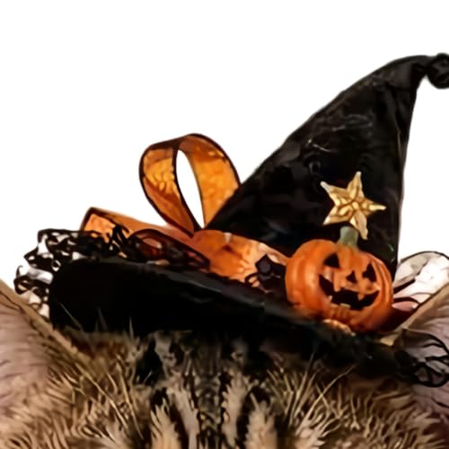 Disfraz de Halloween para gatos ideal para fotografía al aire libre 7