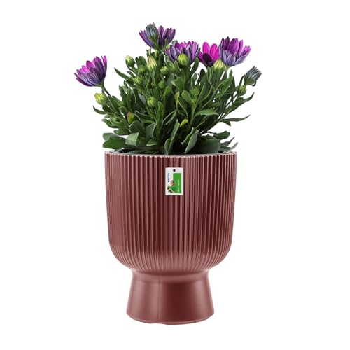 Prosperplast Milly - Maceta De Diseño Moderno Con Forma Cilíndrica, Para Interior Y Exterior, Resistente A Las Heladas, Resistente Al Calor Y A Prosperplast Milly - Maceta De Diseño Moderno Con Forma Cilíndrica, Para Interior Y Exterior, Resistente A Las Heladas, Resistente Al Calor Y A