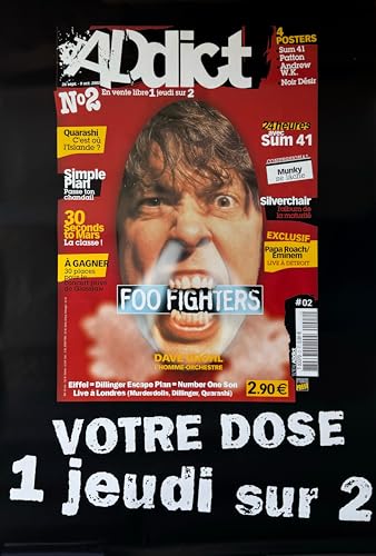 Affiche Foo Fighters poster geant decoration murale musique chambre salon 70x100cm