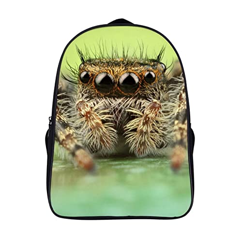 Sac d'école Spider pour ado, sac à dos de voyage mixte et de loisirs 40x28x16cm