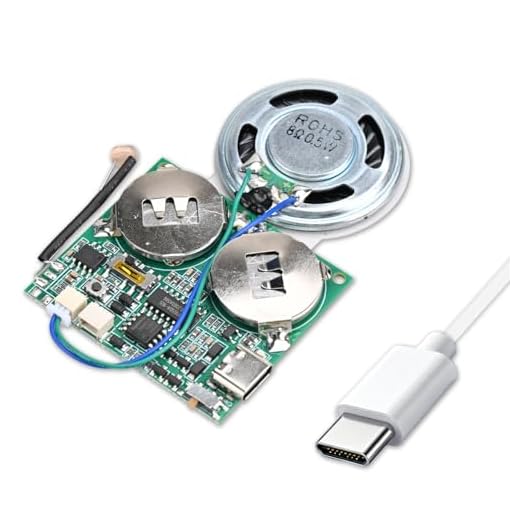 Lichtsensor Sound Modul MP3 Sound Chip Modul, mit 8 MB Speicher Typ-C USB Lautsprecher, für DIY Festival Grußkarte Kreative Geschenke Modelle Bastelarbeiten