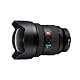 Sony SEL1224GM.SYX