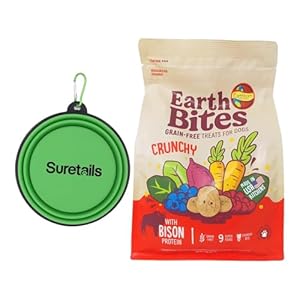 Earthborn Holistic Dry Dog Food, 32 Ounces, Bison Protein, Grain-Free Dog Treats Bundle with Silicon Pet Bowl – Includes Rope Toy & Animal Facts Booklet Dog Buiscuits [Pack of 1]