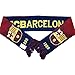 Icon Sports Officially Licensed FC Barcelona Soccer Team Double-Sided Unisex Scarf