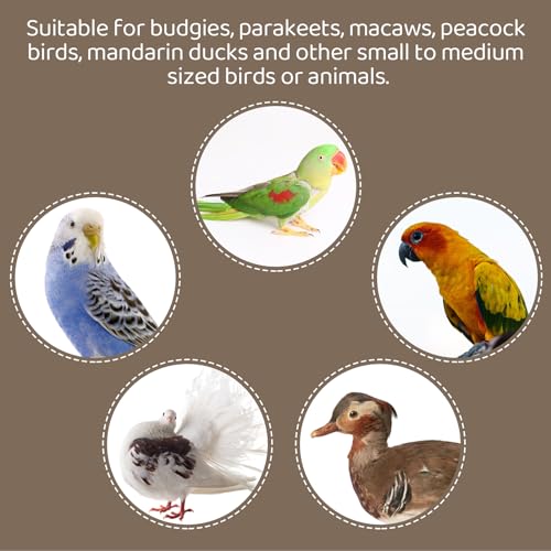 Image of 16 PCS Natural Wood Bird Perch Wooden Parrot Perch Stand Bird Cage Branches Bird Cage Accessories for Parakeets Cockatiels Parrotlets Budgies Conures Macaws Love Birds