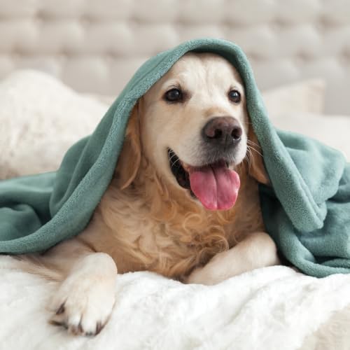 Image of BEDELITE Fleece Blanket Soft Plush Throw for Couch Dusty Blue 50 inchx60 inch