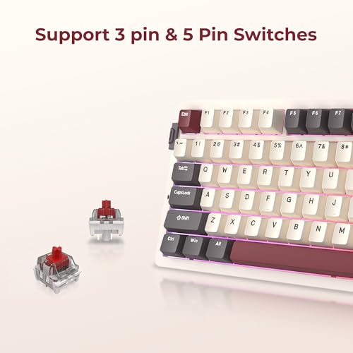 Image of Rosewill Neon S75 Wireless Mechanical Gaming Keyboard, 80-Key Layout w /Volume Knob, Bluetooth / 2.4GHz / USB-C, Hot-Swappable Red Switches, RGB Backlit, 6000mAh Battery, Windows & macOS, White