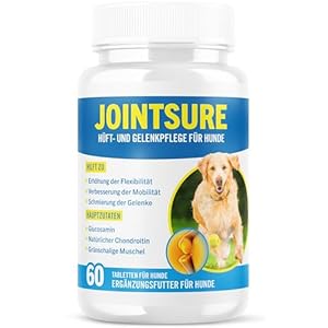 Gelenktabletten Hund – JOINTSURE Premium Gelenk Kapseln, 60 Tabletten mit Glucosamin, Gelenkpulver & Grünlippmuscheln, für verbesserte Mobilität & Gelenkgesundheit bei Hunden