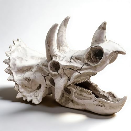 Sertay Decoración Acuario Esqueleto Triceratops, Acuario Calavera Dinosaurio, Cráneo Reptil, Es Un Regalo Muy Atento para Los Amantes De Los Dinosaurios Y Los Jugadores De Acuarios (A)