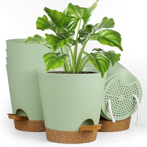Gerbala Juego De 6 Macetas De Plástico Con Depósito De Agua Y Posavasos Marrón, Ideal Para Plantas De Interior, Balcón Y Jardín, 15,2 Cm, Co Gerbala Juego De 6 Macetas De Plástico Con Depósito De Agua Y Posavasos Marrón, Ideal Para Plantas De Interior, Balcón Y Jardín, 15,2 Cm, Co