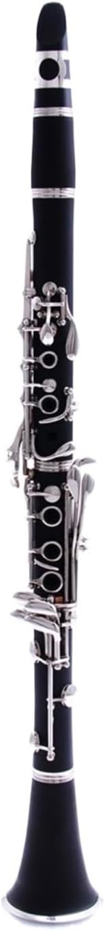 Clarinet Bflat Nickel Plated Wind Instrument Beginner Grade Exam