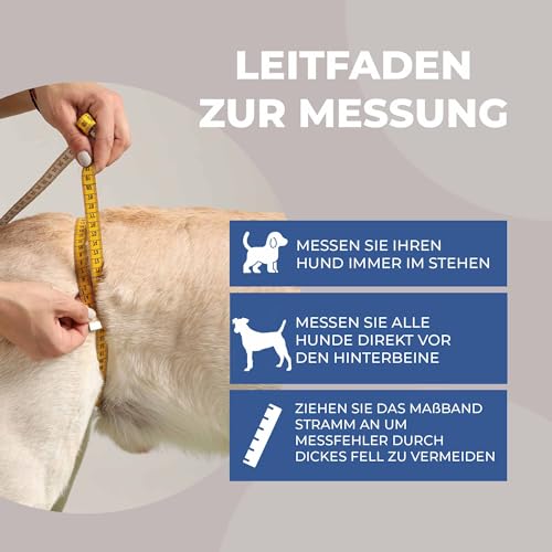 Nature Pet © - Tragehilfe Hund hinten - Verstellbarer Hunde Tragegurt als Treppenhilfe - Ideal für ältere, kranke oder operierte Vierbeiner - Praktische Unterstützung für Mobilität (L, Blau)