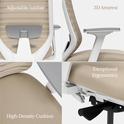 Image of Branch Ergonomic Chair, Versatile Desk Chair with Adjustable Lumbar Support | Breathable Mesh Backrest and Smooth Wheels, Experience Optimal Comfort and Support, All Black