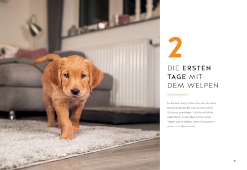 Der Welpen-Alltags-Helfer: Erziehung, Training und Probleme souverän meistern - stressfrei durch die erste Zeit mit jungem Hund (GU Welpen)