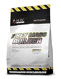 HI TEC NUTRITION Whey Mass Builder Protein Pulver und Kohlenhydrate - Proteinreiches Produkt für Sportler Grundlage für Kräftige und Große Muskeln - 1500g Geschmack Banane 30 Portionen