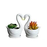 2pcs Swan Modern White Ceramic Succulent Planter Pots/Mini Flower Plant Containers for Valentine's Day,Gift,offtice,Desk