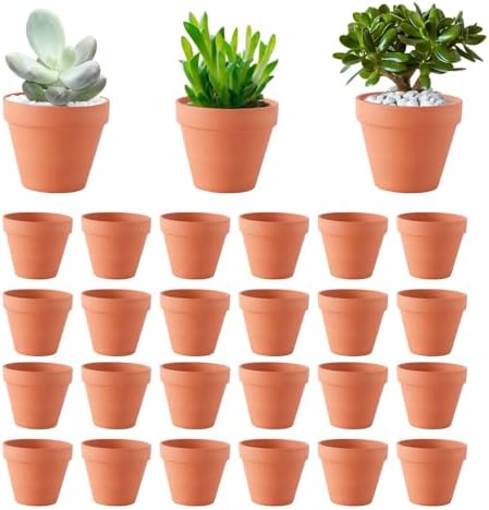36 Kleine Graue Tontöpfe – 5,3 Cm Hoch, Mit Abflussloch, Für Sukkulenten, Kakteen & Deko