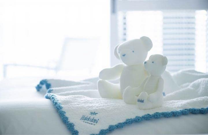 【新品】カシウエア　ハレクラニ　ブランケット Amazon.co.jp: ハレクラニ沖縄 限定 カシウェア カシウエア