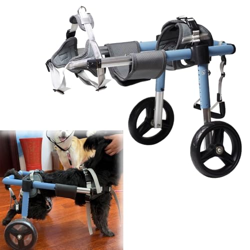 Petit fauteuil roulant pour pattes arrière de chien : revivez ensemble