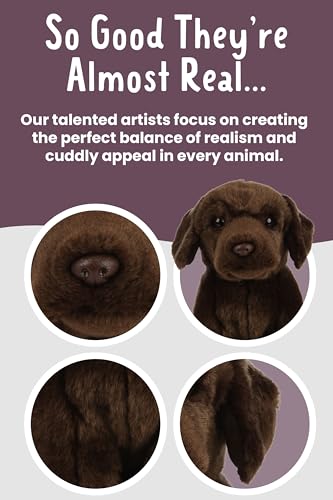Living Nature Soft Toy - Stofftier Labrador, braun (20cm), Unbekannt