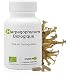 Produktbild Biologisches Harpagophytum * 400 mg/60 Kapseln * Zu mind. 2,7% in Harpagosid titriert * Gelenk, Verdauung.