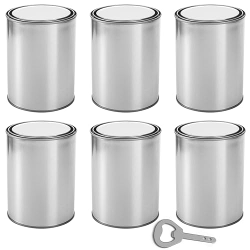 6 Pack Empty Paint Cans with Lids 1 Quart Tin
